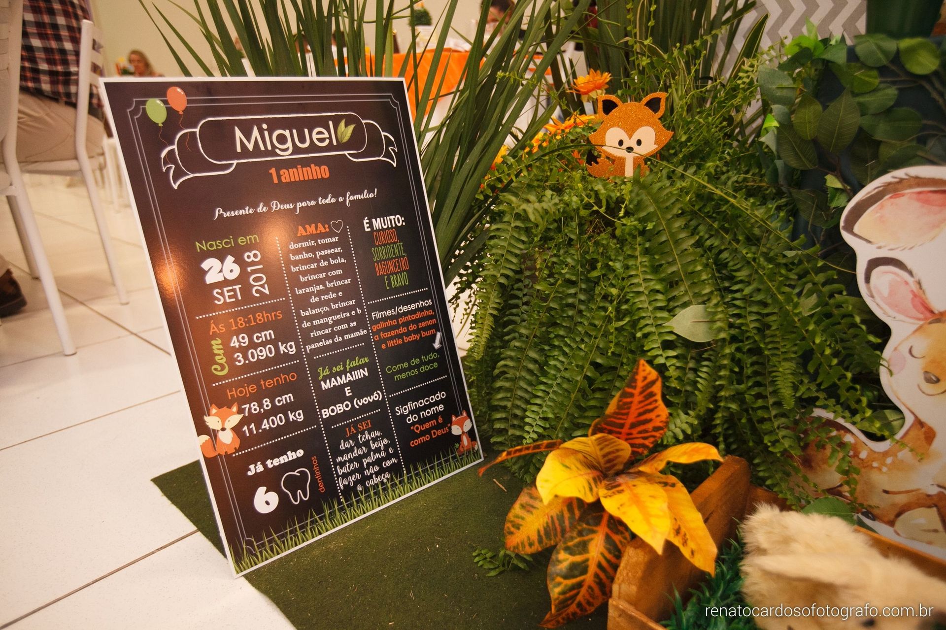 Foto Festa de Aniversário de 1 Aninho do Miguel - In Festa Buffet - Joinville Foto Festa de Aniversário de 1 Aninho do Miguel - In Festa Buffet - Joinville - Imagem 28