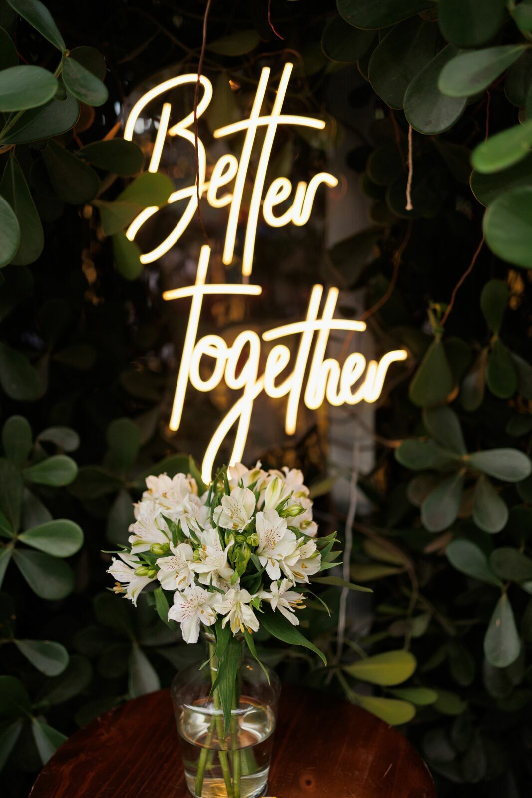 Foto Casamento Barbara e Alan no Quintal Vip Jaraguá do Sul – Fotógrafo em Joinville Foto Casamento Barbara e Alan no Quintal Vip Jaraguá do Sul – Fotógrafo em Joinville - Imagem 118
