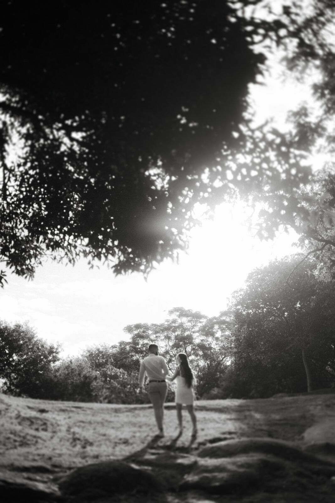 Foto Ensaio Pré Wedding Alyssa e Bruno em Florianópolis Fotografia Documental Foto Ensaio Pré Wedding Alyssa e Bruno em Florianópolis Fotografia Documental - Imagem 1