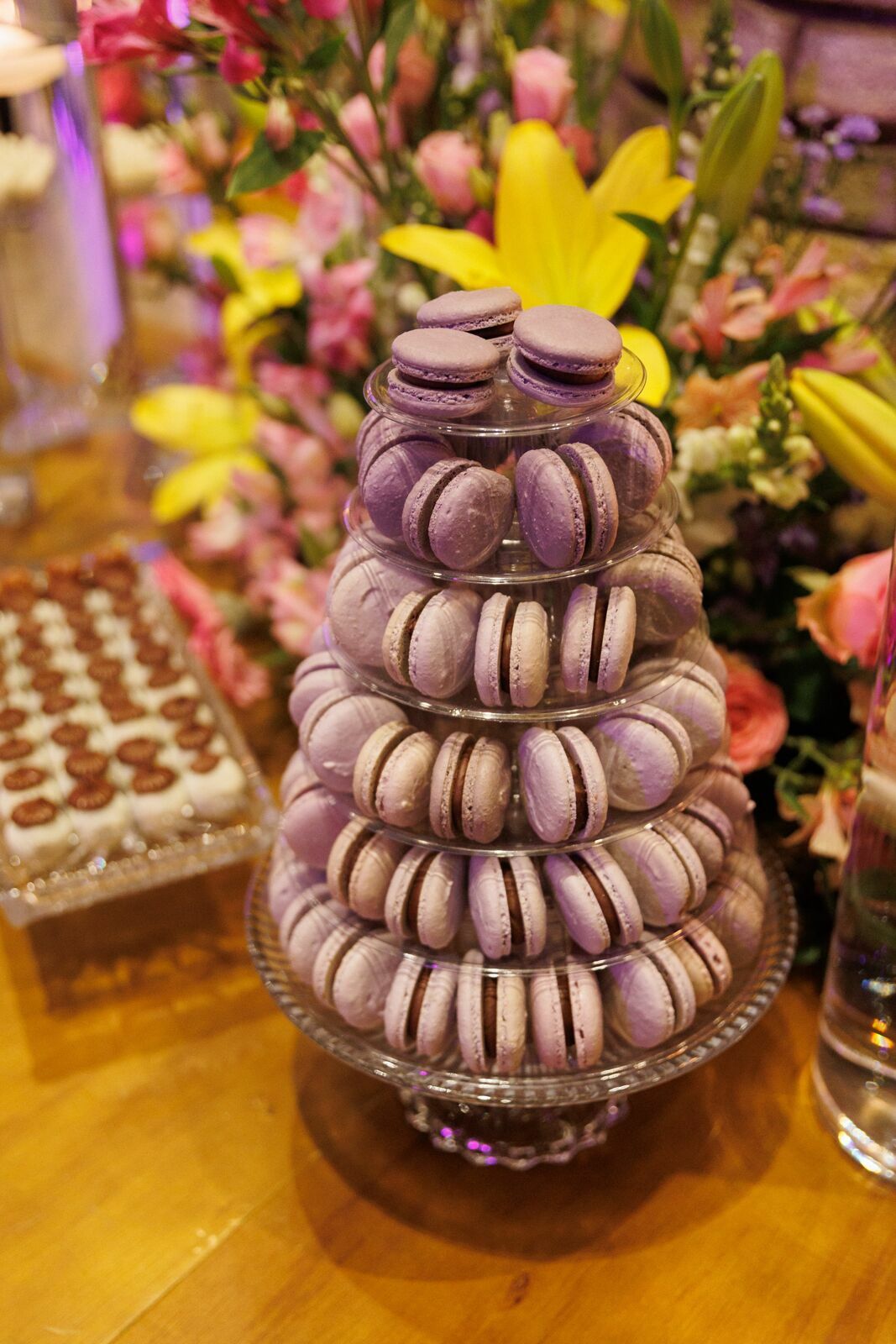 Foto Aniversário de 15 anos da Yasmin no Indaiá Joinville - Fotógrafo em Joinville Foto Aniversário de 15 anos da Yasmin no Indaiá Joinville - Fotógrafo em Joinville - Imagem 10