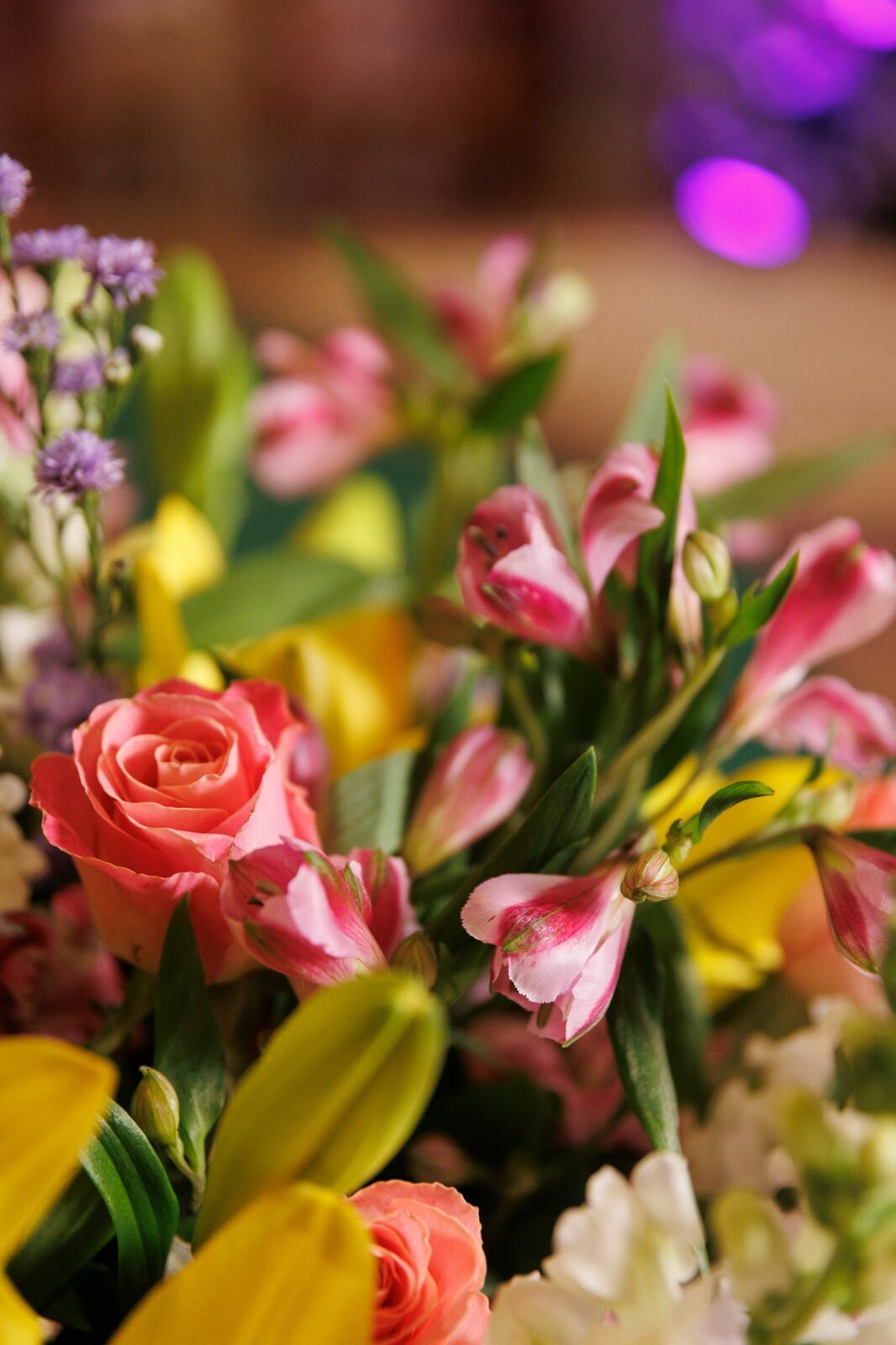 Foto Aniversário de 15 anos da Yasmin no Indaiá Joinville - Fotógrafo em Joinville Foto Aniversário de 15 anos da Yasmin no Indaiá Joinville - Fotógrafo em Joinville - Imagem 13