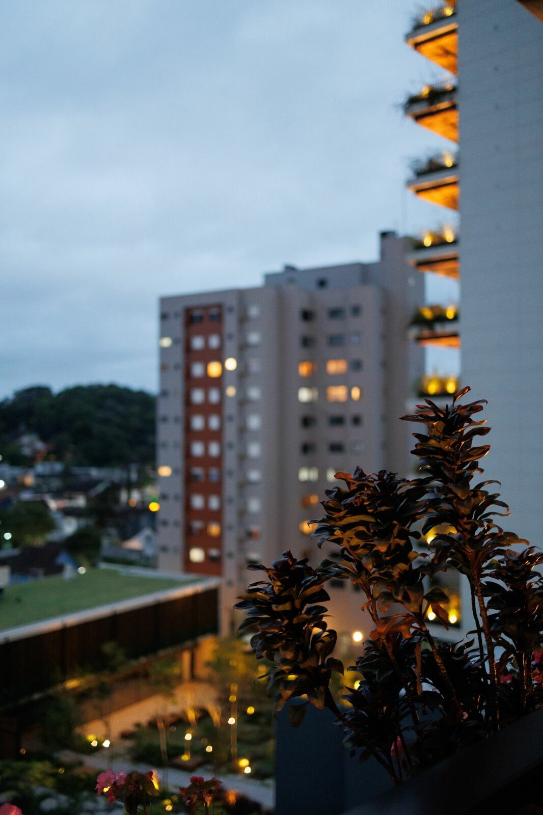 Foto Palestra da Mya Gasiorek da Lago Law Firm em Joinville - Fotógrafo para Eventos em Joinville - Imagem 14