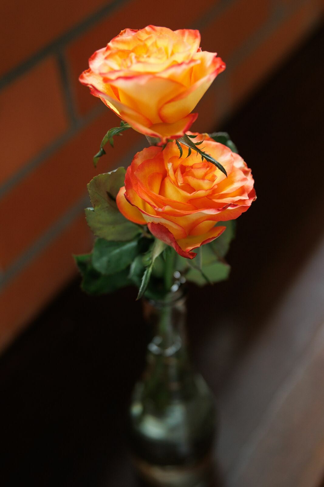 Foto Casamento da Myriã e do Jorge em Joinville - Fotógrafo em Joinville Foto Casamento da Myriã e do Jorge em Joinville - Fotógrafo em Joinville - Imagem 30