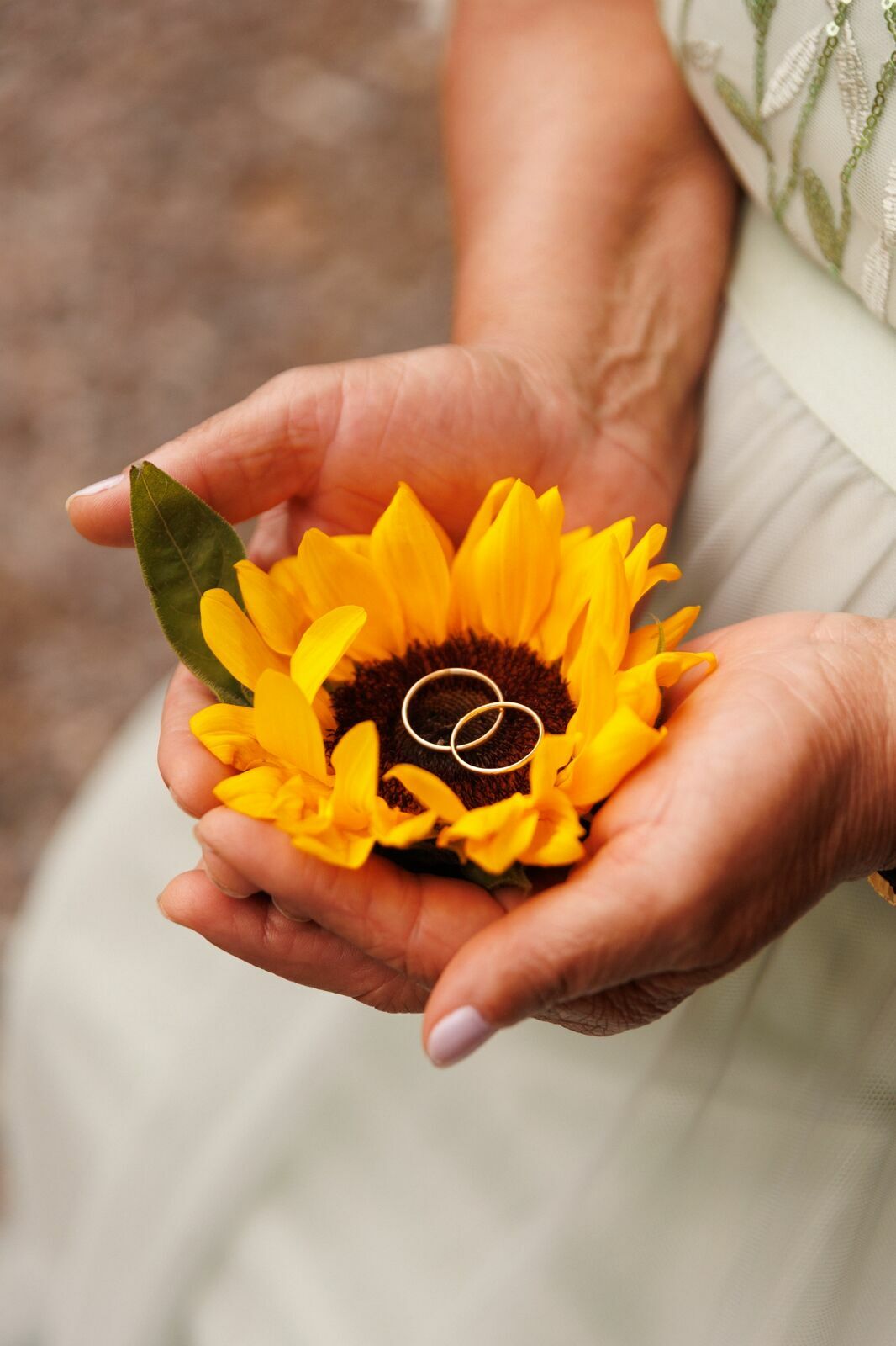 Foto Casamento da Myriã e do Jorge em Joinville - Fotógrafo em Joinville Foto Casamento da Myriã e do Jorge em Joinville - Fotógrafo em Joinville - Imagem 68
