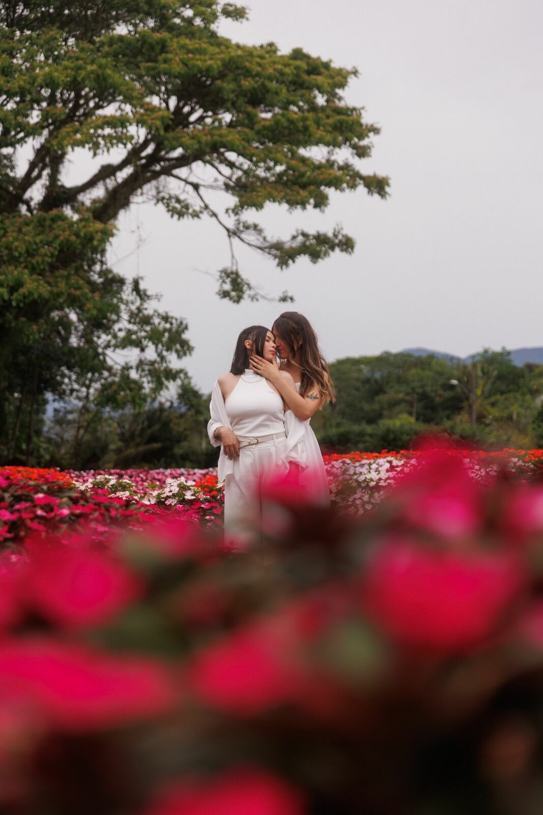 Foto Casamento Civil da Yasmin e da Brenda em Joinville - Fotógrafo em Joinville Foto Casamento Civil da Yasmin e da Brenda em Joinville - Fotógrafo em Joinville - Imagem 18