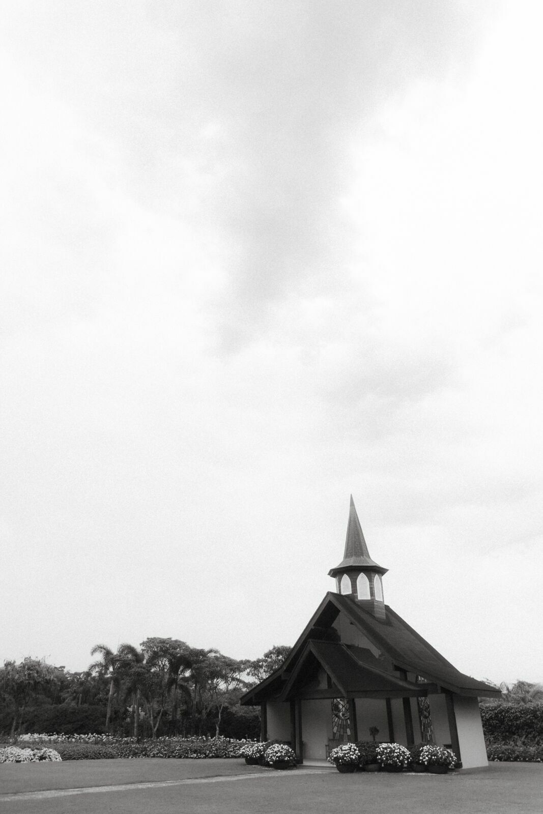 Foto Casamento Civil da Yasmin e da Brenda em Joinville - Fotógrafo em Joinville Foto Casamento Civil da Yasmin e da Brenda em Joinville - Fotógrafo em Joinville - Imagem 13