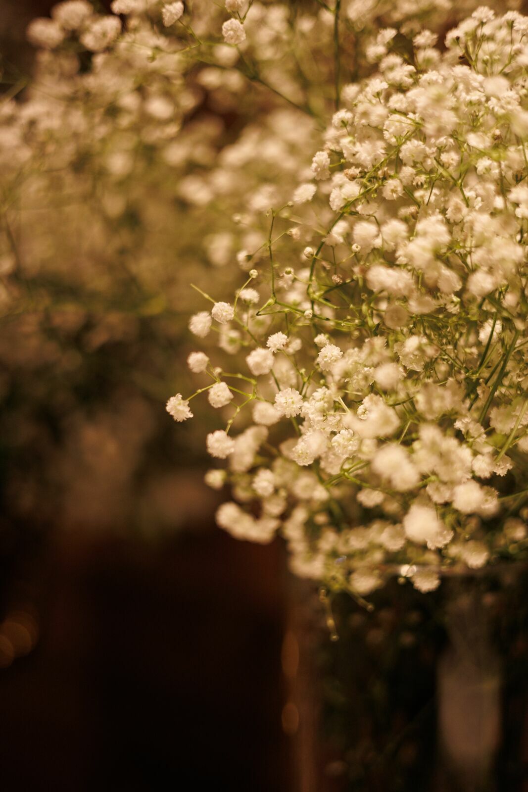 Foto Aniversário da Roberta - 50 anos - Fotógrafo em Joinville - Imagem 5