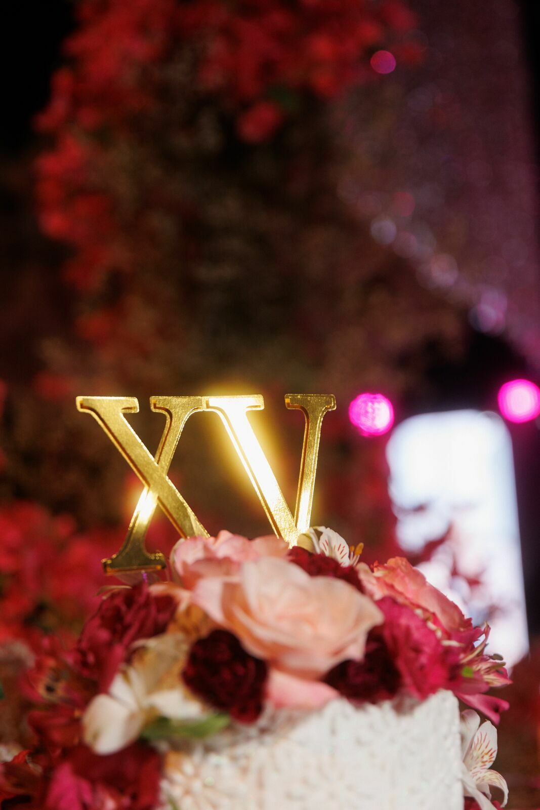 Foto Festa de 15 Anos da Kauany na Farm Hill em Joinville - Fotógrafo em Joinville - Imagem 24