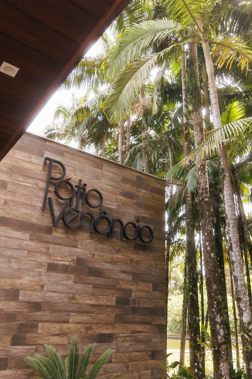 Foto Casamento da Camila e do Andre no Pátio Venâncio em Joinville - Fotógrafo em Joinville - Imagem 26