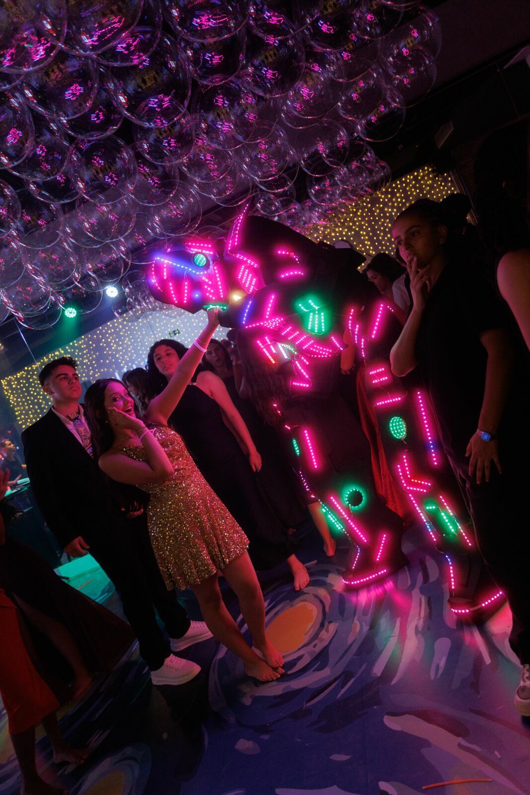 Foto Aniversário de 15 Anos da Júlia no Indaiá Villa em Joinville - Imagem 242