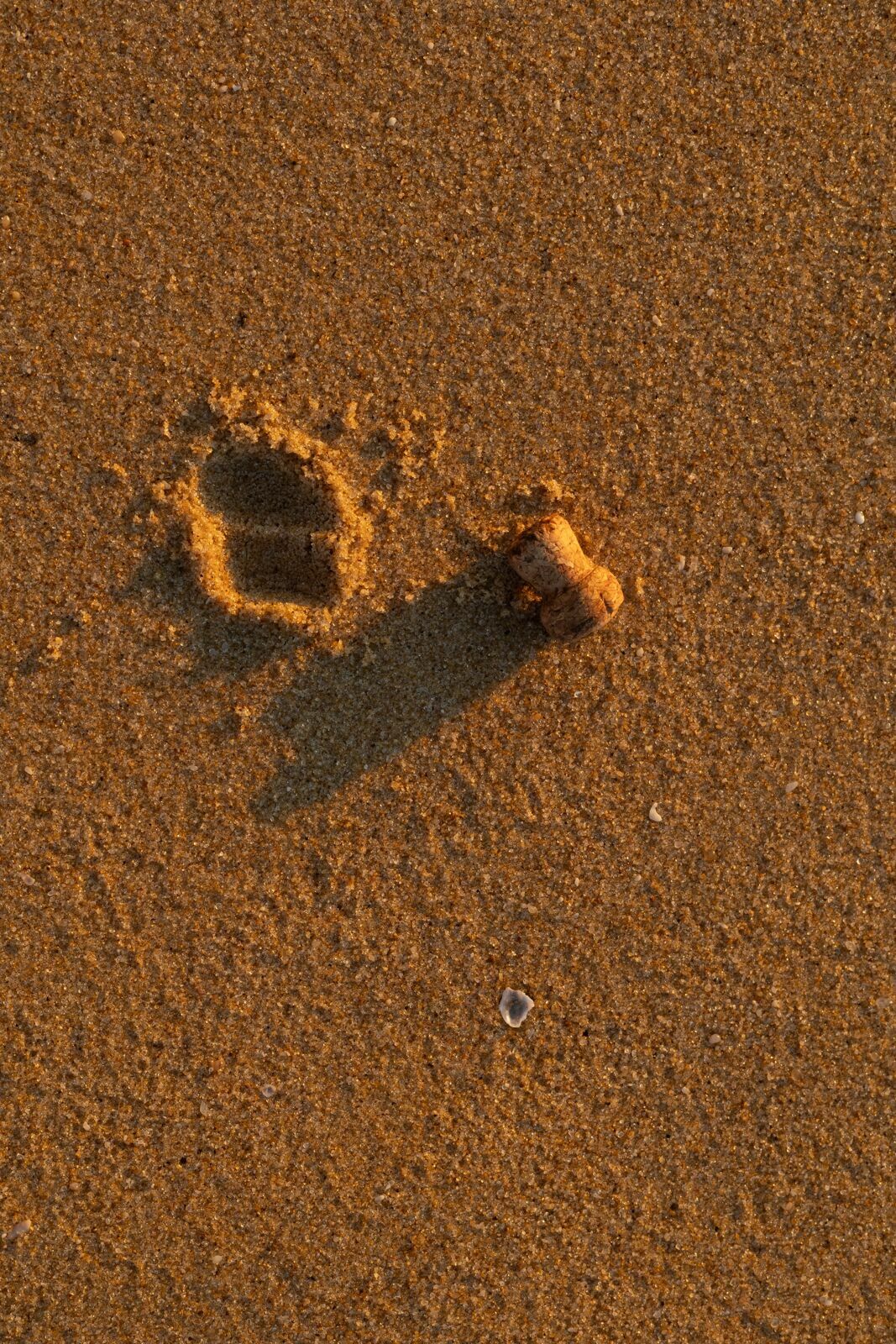 Foto Natália e Charles - Ensaio Pré Wedding em Balneário Camboriú Foto Natália e Charles - Ensaio Pré Wedding em Balneário Camboriú - Imagem 15