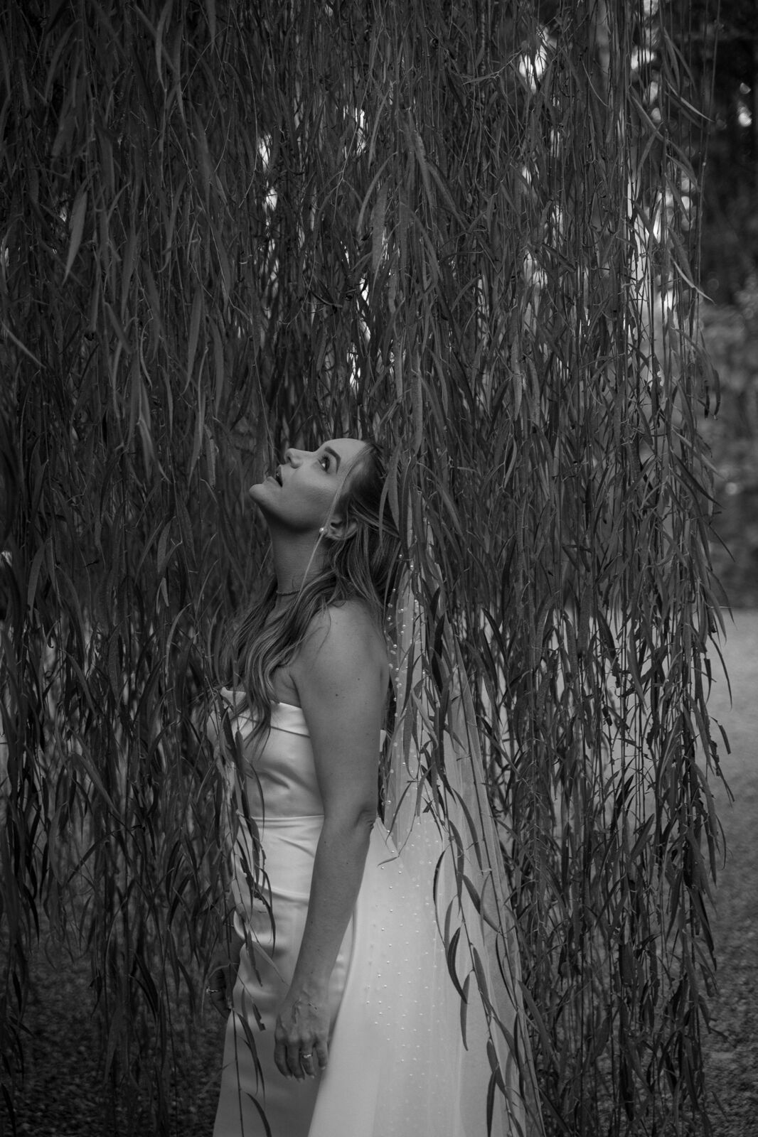 Foto Casamento Natalia e Charles no Friedemann Platz - Fotógrafo de casamentos em Joinville - Imagem 49