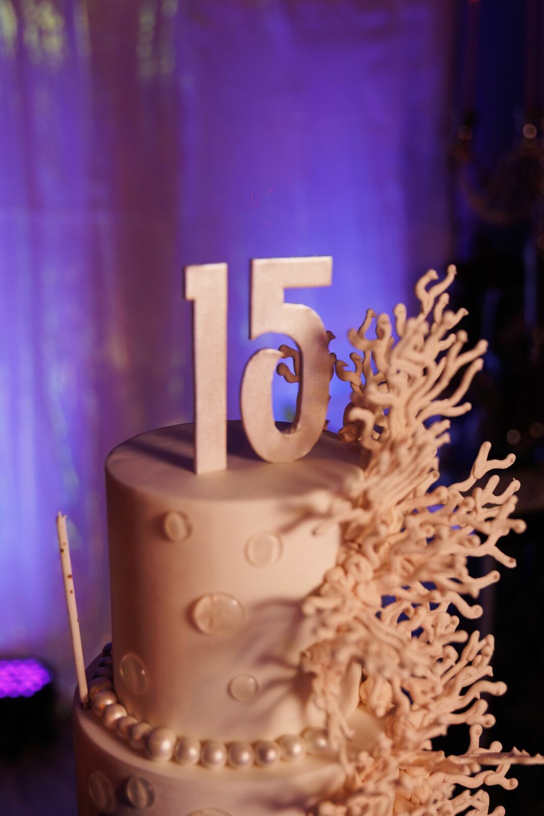 Foto Aniversário da Manu 15 Anos no Joinville Tênis Clube - Fotógrafo em Joinville - Imagem 47